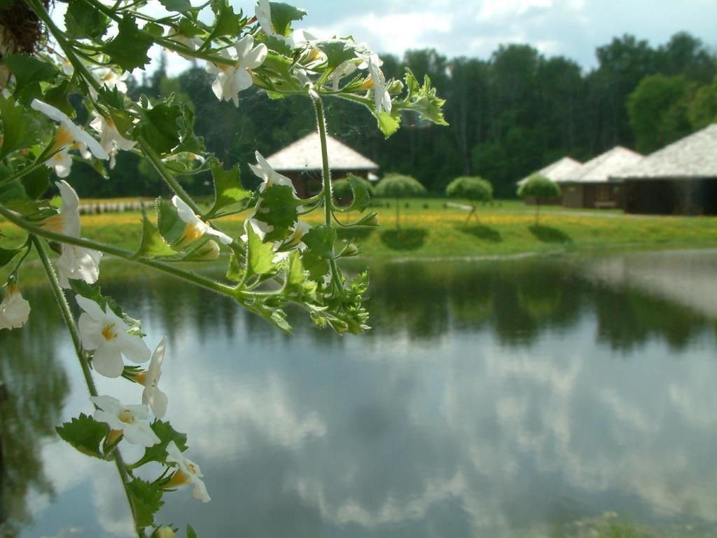 Recreation Center Bruveri Sigulda Cameră foto